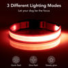 Picture of Vizpet LED Dog Collar, Light Up Dog Collar Adjustable USB Rechargeable Super Bright Safety Light Glowing Collars for Dogs(Small,Red)
