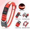 Picture of Vizpet LED Dog Collar, Light Up Dog Collar Adjustable USB Rechargeable Super Bright Safety Light Glowing Collars for Dogs(Small,Red)