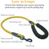 Picture of iYoShop Dual Dog Leash, Double Dog Leash, 360 Swivel No Tangle Walking Leash, Shock Absorbing Bungee for Two Dogs, Orange, Large (25-150 lbs)
