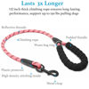 Picture of iYoShop Dual Dog Leash, Double Dog Leash, 360 Swivel No Tangle Walking Leash, Shock Absorbing Bungee for Two Dogs, Large (25-150 lbs), Baby Pink