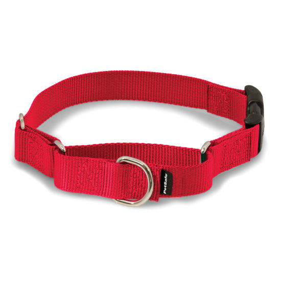 Picture of PetSafe Martingale Dog Collar with Quick-Snap Buckle - Medium, 1 Inch, Red