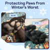 Picture of Finn Paw Hero | Natural Revitalizing Dog Paw Balm | Protect, Nourish & Repair from Winter, Snow, Damage, and Dryness - 1.75 oz
