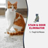 Picture of Nature's Miracle Advanced Cat Stain and Odor Eliminator Spray, Severe Mess Enzymatic Formula, 1 Gal