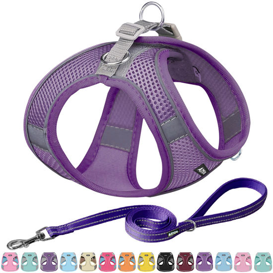 Picture of AIITLE Dog Harness No Choke Over - Soft Step in Adjustable Dog Harnes with Breathable Mesh and Quick-Release Buckle for All Weather- Outdoor Walking, Training for Medium Dogs Pure Purple XL