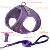 Picture of AIITLE Dog Harness No Choke Over - Soft Step in Adjustable Dog Harnes with Breathable Mesh and Quick-Release Buckle for All Weather- Outdoor Walking, Training for Medium Dogs Pure Purple XL