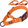 Picture of haapaw 2 Packs Martingale Dog Collar with Quick Release Buckle Reflective Dog Training Collars for Small Medium Large Dogs (Collar+Collar, L Neck 17"-21", Orange, 1+1 Packs)