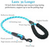 Picture of iYoShop Dual Dog Leash, Double Dog Leash, 360 Swivel No Tangle Walking Leash, Shock Absorbing Bungee for Two Dogs, Blue, Medium (8-35 lbs)