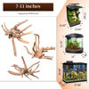 Picture of majoywoo Natural Driftwood for Aquarium Decor Fish Tank Decorations, Assorted Spider Wood Branch 7-11" 3 Pcs, Reptile Decor