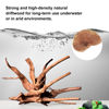 Picture of majoywoo Natural Driftwood for Aquarium Decor Fish Tank Decorations, Assorted Spider Wood Branch 7-11" 3 Pcs, Reptile Decor