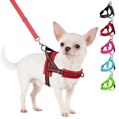 Picture of SlowTon No Pull Small Dog Harness and Leash Set, Puppy Soft Vest Harness Neck & Chest Adjustable, Reflective Lightweight Harness & Anti-Twist Pet Lead Combo for Small Medium Dogs (R-Front Clip,XXS)