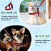 Picture of SlowTon No Pull Small Dog Harness and Leash Set, Puppy Soft Vest Harness Neck & Chest Adjustable, Reflective Lightweight Harness & Anti-Twist Pet Lead Combo for Small Medium Dogs (R-Front Clip,XXS)