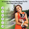 Picture of EcoBark Step in Dog Harness - Eco-Friendly Teacup Dog Harnesses for XXS, XS, and Small Dogs - Reflective and Adjustable Mini Body Halter Vest -Tiny Soft Mesh Toy Breed Harness (Red, XXXS)