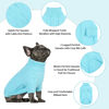 Picture of Queenmore Small Dog Pullover Sweater, Cold Weather Cable Knitwear, Classic Turtleneck Thick Warm Clothes for Chihuahua, Bulldog, Dachshund, Pug (Sky Blue, Large)