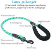 Picture of iYoShop Dual Dog Leash, Double Dog Leash, 360 Swivel No Tangle Walking Leash, Shock Absorbing Bungee for Two Dogs, Teal, Large (25-150 lbs)