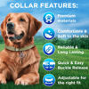 Picture of TECEUM Reflective Pet Collar - Olive - S - Extra Soft Padding - Basic Nylon Dog Collar - Quick Release Buckle - Fits Small, Medium and Large Dogs, Puppies, Cats - ESA & Service Dog Options