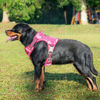 Picture of Beebiepet Heavy Duty Tactical Dog Harness for Large Dogs, No Pull Adjustable Pet Harness Reflective Service Training Easy Control Pet Vest Military K9 Working Dog Harnesses- Large, Pink Camo