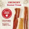Picture of Natural Farm Beef Trachea for Dogs (6 Inch, 6 Pack)- 100% Beef,Odor Free Trachea Dog Chews- Glucosamine & Chondroitin for Joint & Hip Mobility, Bone Strength- Low-Fat Crunchy & Crispy- for All Dogs