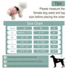 Picture of Grecle Washable Female Dog Diapers - Premium Reusable Diapers for Doggie in Heat - Highly Absorbent Dog Diapers Female for Pet Incontinence with Adjustable Snaps (Morandi, XL)