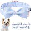 Picture of Unique Style Paws Pet Soft &Comfy Bowtie Dog Collar and Cat Collar Pet Gift for Dogs and Cats 6 Size and 7 Patterns