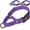 Picture of Haapaw Martingale Dog Collar with Quick Release Buckle Reflective Dog Training Collars for Small Medium Large Dogs(2 Packs) (Small, Purple/Purple)