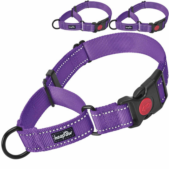 Picture of Haapaw Martingale Dog Collar with Quick Release Buckle Reflective Dog Training Collars for Small Medium Large Dogs(2 Packs) (Small, Purple/Purple)