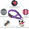 Picture of Haapaw Martingale Dog Collar with Quick Release Buckle Reflective Dog Training Collars for Small Medium Large Dogs(2 Packs) (Small, Purple/Purple)