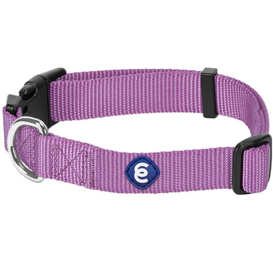 Picture of Blueberry Pet Essentials 2023 New Classic Durable Solid Nylon Adjustable Dog Collar, Purple, Medium, Neck 14.5"-20", for Girl Dogs