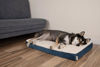 Picture of Best Pet Supplies Cute Dog Bed Mat Flat Mattress with Waterproof Exterior, Thick Orthopedic Egg Foam Fill, and Soft Sherpa Fleece Cover for Small, Medium, and Large Breeds - Blue, 41X29X4