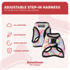 Picture of Downtown Pet Supply Step in Dog Harness for Small Dogs No Pull, X-Small, Tie Dye Traditional - Adjustable Harness with Padded Mesh Fabric and Reflective Trim - Buckle Strap Harness for Dogs