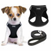 Picture of YIMEIS Dog Harness and Leash Set, No Pull Soft Mesh Pet Harness, Reflective Adjustable Puppy Vest for Small Dogs, Cats (XS, Black)