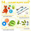 Picture of Zeaxuie 14 Pack Puppy Toys for Teething Small Dogs, Puppy Chew Toys with Cute Squeaky Dog Toys, Ball and More Rope Dog Chew Toys