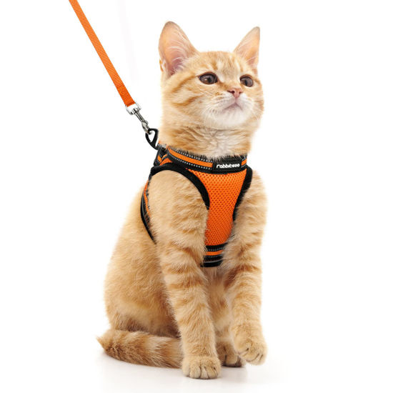 Picture of rabbitgoo Cat Harness and Leash Set for Walking Escape Proof, Adjustable Soft Kittens Vest with Reflective Strip for Cats, Comfortable Outdoor Vest,Light Orange,M