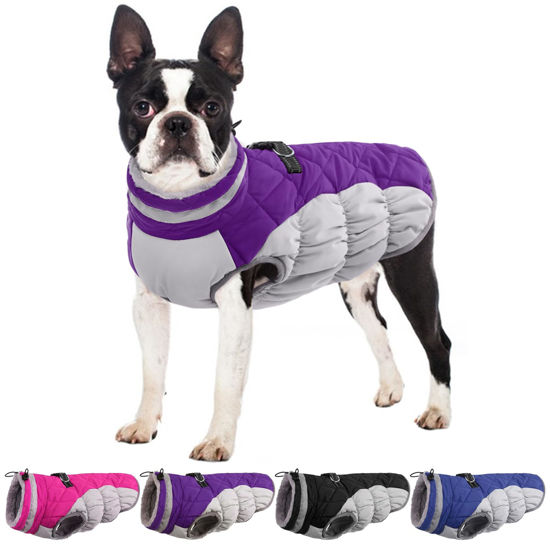 Picture of OUOBOB Dog Jackets for Medium Dogs,Medium Dog Coat,Warm Dog Winter Coat Zip Up Back,Waterproof Dog Jacket with D-ring,Dog Cold Weather Coats with Fleece Lined, Dog Snowsuit Pug Boston Terrier Purple M