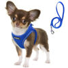Picture of Fida Comfy Dog Harness with Leash, Soft Puppy Vest Escape Proof, Breathable Lightweight Soft Mesh, Adjustable Reflective Step-in Harness for Cat & Extra-Small Pet (XS, Blue)