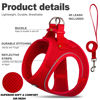 Picture of Fida Comfy Dog Harness with Leash, Soft Puppy Vest Escape Proof, Breathable Lightweight Soft Mesh, Adjustable Reflective Step-in Harness for Cat & Extra-Small Pet (XS, Red)