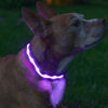 Picture of Blazin Brightest Light Up Dog Collars - The Original LED Dog Collar with 1,000 Feet of Visibility - USB Rechargeable Waterproof Dog Collar Light - Dog Lights for Night Walking - USA Brand