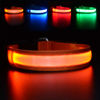 Picture of MASBRILL LED Dog Collar-Light Up Dog Collars Rechargeable Waterproof Lighted Dog Collar Night Walking Glow Collar for Small Medium Large Dogs