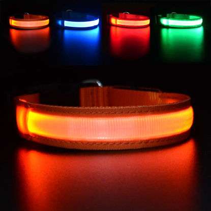 Picture of MASBRILL LED Dog Collar-Light Up Dog Collars Rechargeable Waterproof Lighted Dog Collar Night Walking Glow Collar for Small Medium Large Dogs