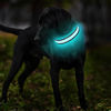 Picture of MASBRILL Light Up Dog Collars - LED Dog Collar Rechargeable Lighted Dog Collars for Night Resistant-Water Glow Dog Collar
