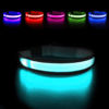 Picture of MASBRILL Light Up Dog Collars - LED Dog Collar Rechargeable Lighted Dog Collar Resistant-Water Night Walking Glow Dog Collars