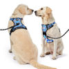 Picture of NESTROAD No Pull Dog Harness with Leash, Reflective No Choke Pet Vest Harness,Adjustable Soft Padded Dog Harness with Easy Control Handle for Small Dogs(Checkered Blue,Small)
