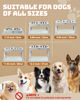 Picture of Jovrun Elevated Dog Bowls, Dog Feeder with 2 Stainless Steel Bowls &1 Slow Feeder Dog Bowls, 5 Heights Adjustable Raised Dog Bowls Stand for Medium Large Dogs, Dog Food Bowls with Non-Slip Feet