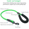 Picture of iYoShop Dual Dog Leash, Double Dog Leash, 360 Swivel No Tangle Walking Leash, Shock Absorbing Bungee for Two Dogs, Emerald, Large (25-150 lbs)