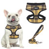 Picture of PUPTECK Soft Mesh Dog Harness and Leash Set Pet Puppy Cat Comfort Padded Vest No Pull Harnesses, Yellow, S