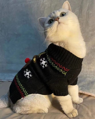 Picture of BOBIBI Cat Sweater Christmas Santa Claus Pet Cat Winter Knitwear Warm Clothes