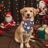 Picture of ADOGGYGO Christmas Dog Bandana, Snowman Santa Dog Scarf, Premium Durable Fabric, Adjustable Fit Dog Christmas Bandanas for Large and Extra Large Dogs Pets (X-Large, Christmas)