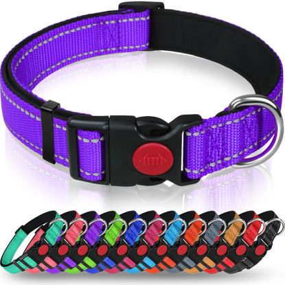 Picture of Taglory Reflective Dog Collar with Safety Locking Buckle, Adjustable Nylon Pet Collars for Puppy Dogs, XS, Purple