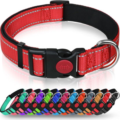 Picture of Taglory Reflective Dog Collar with Safety Locking Buckle, Adjustable Nylon Pet Collars for Small Dogs Female Male, S, Red