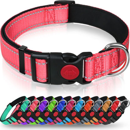 Picture of Taglory Reflective Dog Collar with Safety Locking Buckle, Adjustable Nylon Pet Collars for Small Dogs Female Male, S, Baby Pink