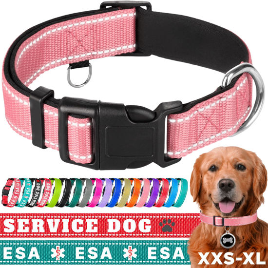 Picture of TECEUM Reflective Pet Collar - Pink - M - Extra Soft Padding - Basic Nylon Dog Collar - Quick Release Buckle - Fits Small, Medium and Large Dogs, Puppies, Cats - ESA & Service Dog Options